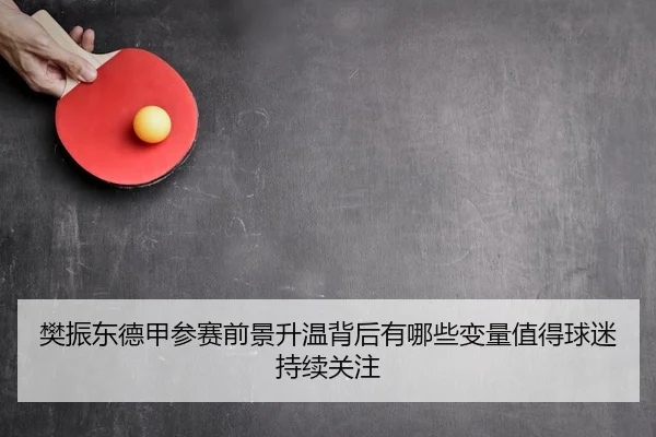 樊振东德甲参赛前景升温背后有哪些变量值得球迷持续关注